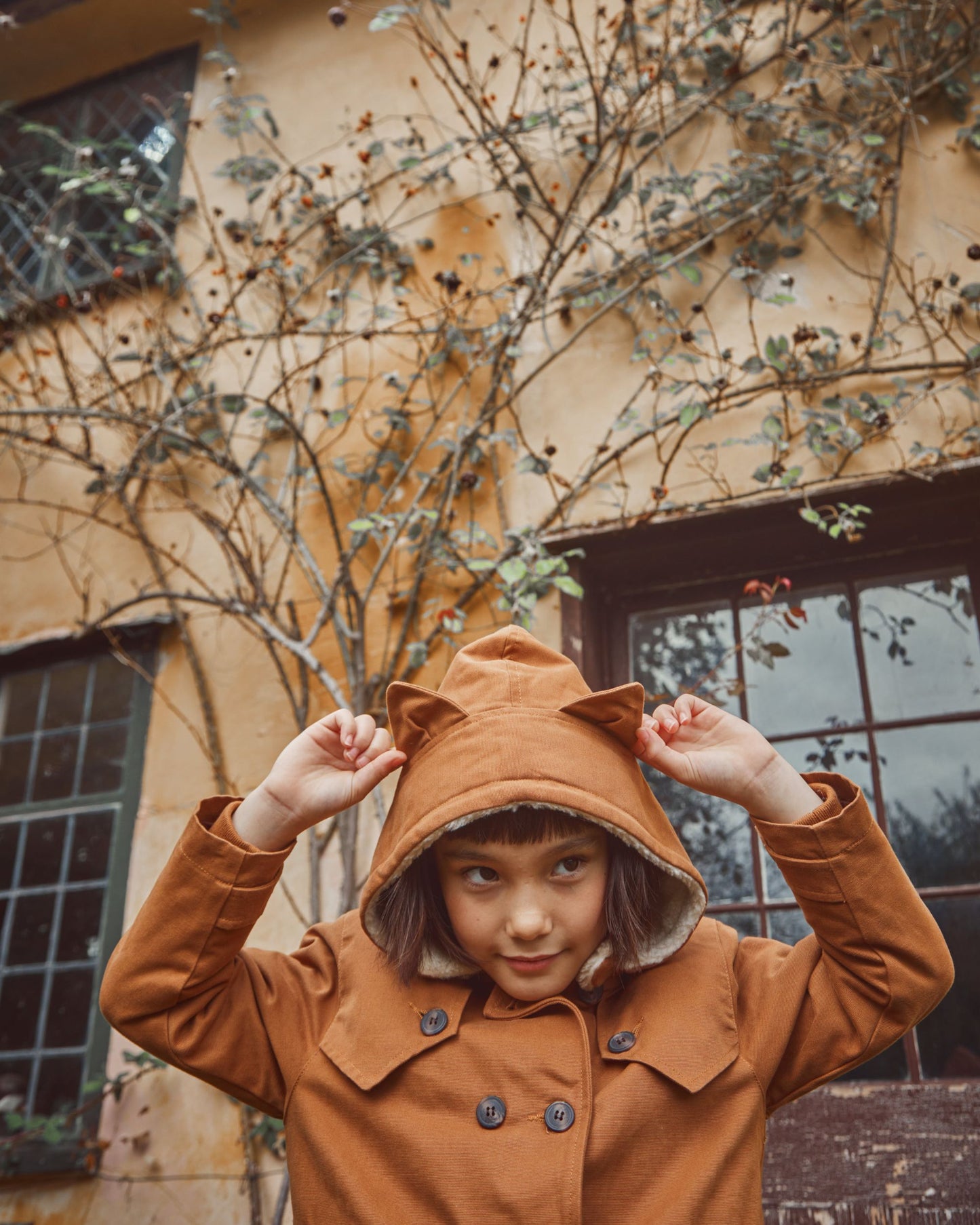 Parka chat caramel