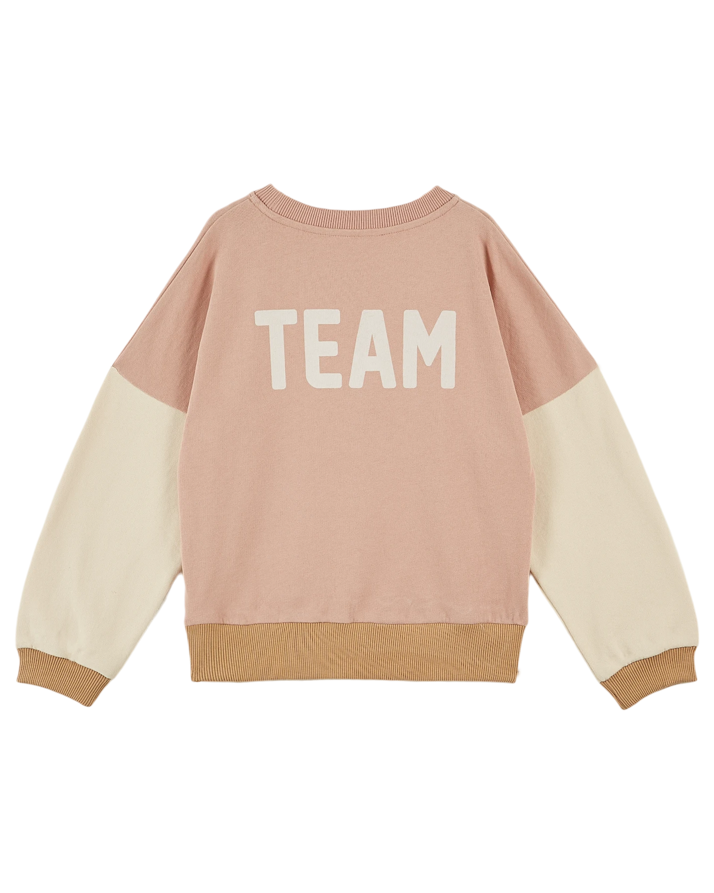 Sweat coton bio team tricolore poudre