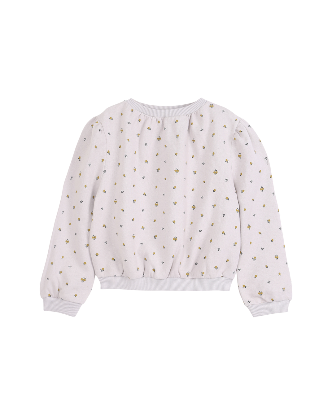 Sweat coton bio brume imprimé mirabelle