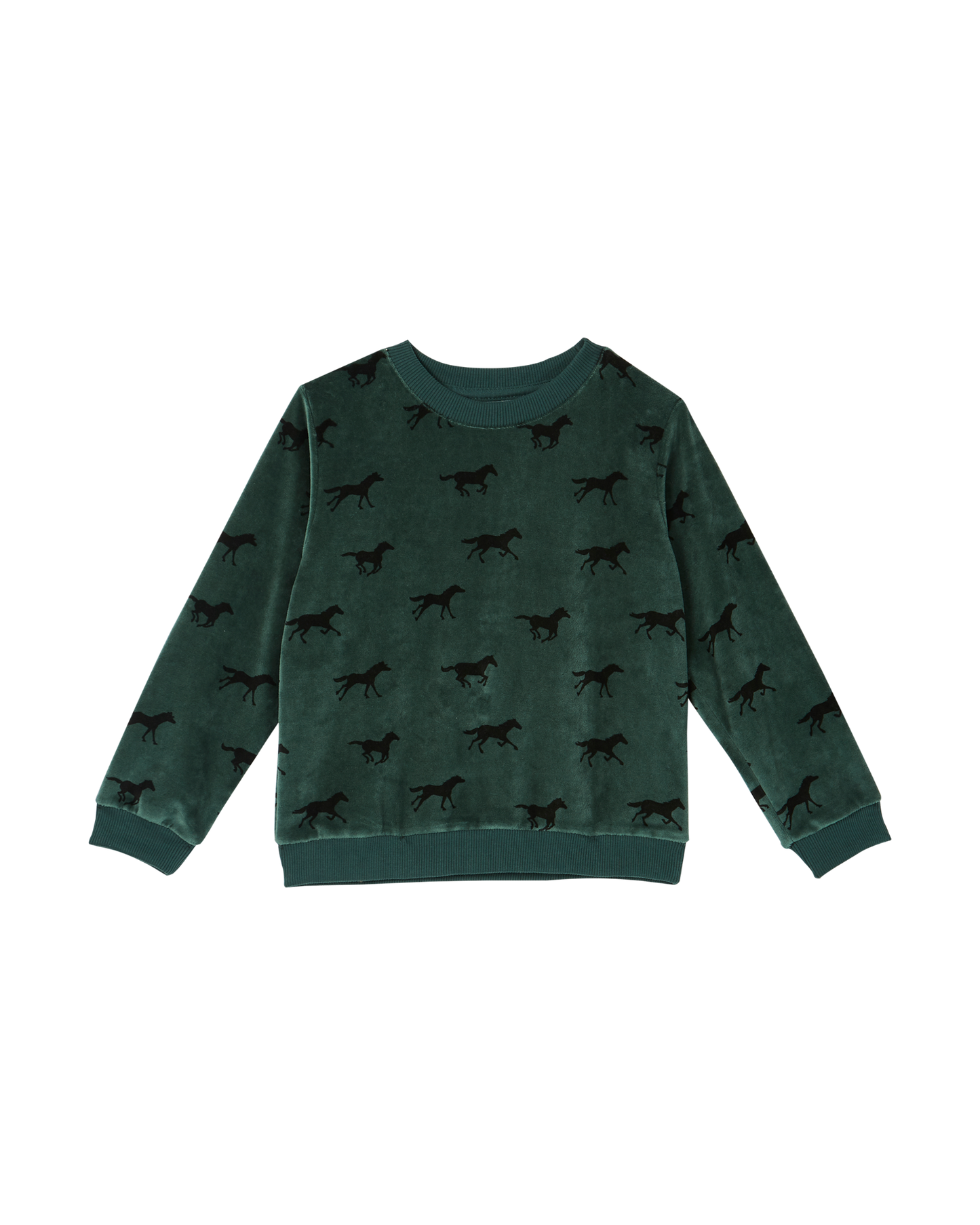 Sweatshirt éponge velours cèdre cheval